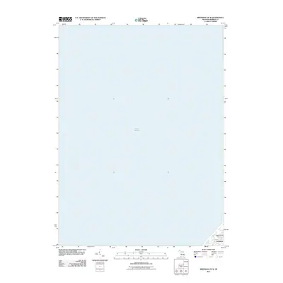 2011 Map of Bridgman OE W, 2011 Print