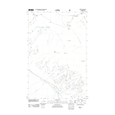 2011 Map of Brief, 2011 Print