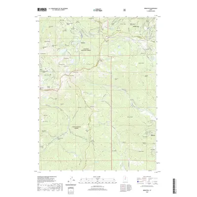 2020 Map of Brighton, 2020 Print