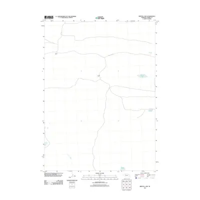 2011 Map of Bristol Lake, 2011 Print