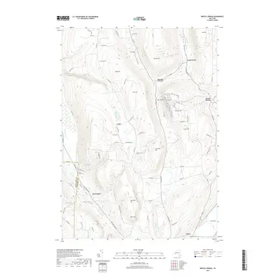 2019 Map of Bristol Springs, 2019 Print