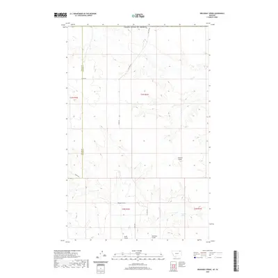 2020 Map of Brockway Spring, 2020 Print