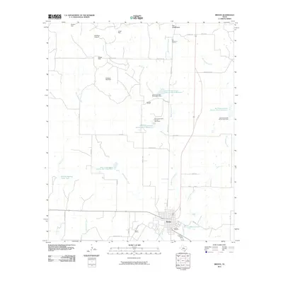 2010 Map of Bronte, 2010 Print