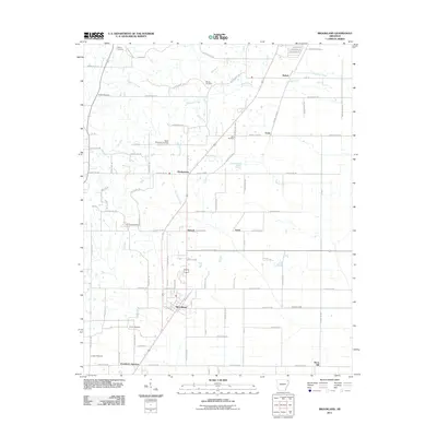2011 Map of Brookland, 2011 Print