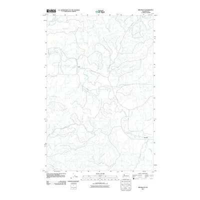 2011 Map of Brooklyn, 2011 Print