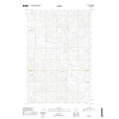 2020 Map of Brooklyn, 2020 Print