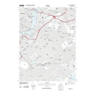 2010 Map of Brooklyn, 2010 Print