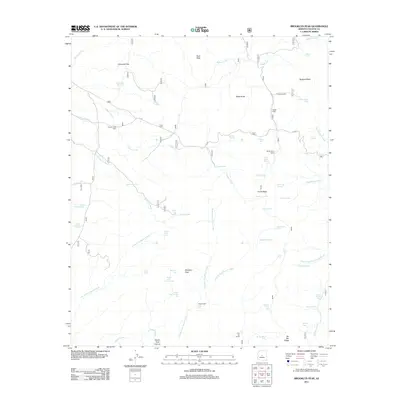 2011 Map of Brooklyn Peak, 2011 Print