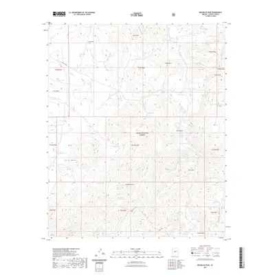 2021 Map of Brooklyn Peak, 2021 Print