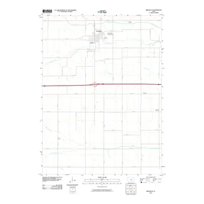 2010 Map of Brooklyn, 2010 Print