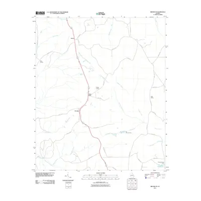 2011 Map of Brooklyn, 2011 Print