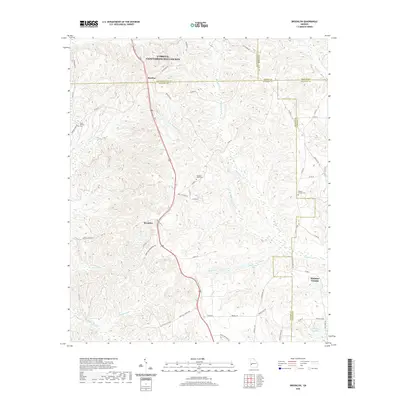 2020 Map of Brooklyn, 2020 Print