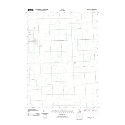 2011 Map of Brown City, 2011 Print