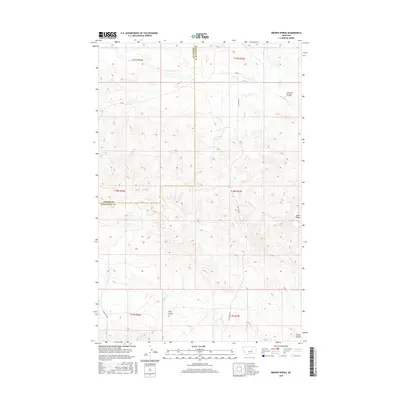 2017 Map of Brown Spring, 2017 Print