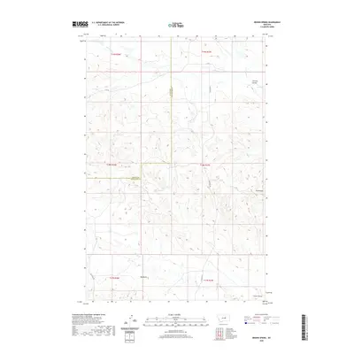 2020 Map of Brown Spring, 2020 Print