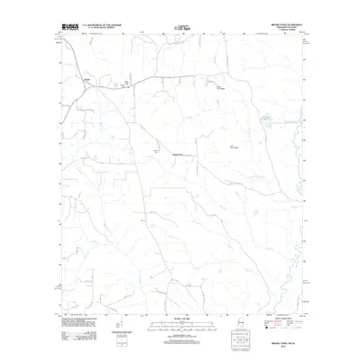2012 Map of Brown Town, 2012 Print