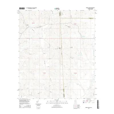2015 Map of Brown Town, 2015 Print