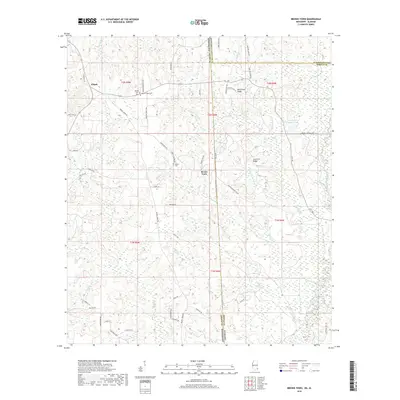 2018 Map of Brown Town, 2018 Print