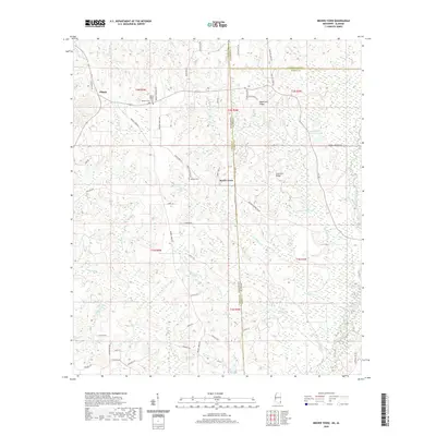 2020 Map of Brown Town, 2020 Print