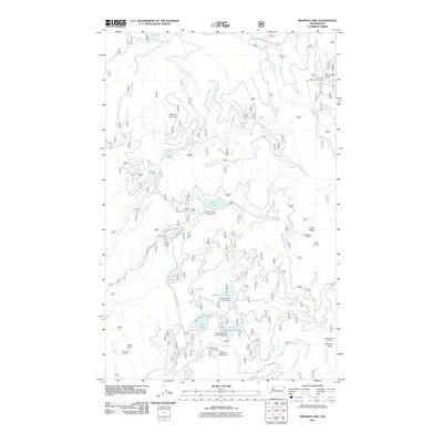 2011 Map of Browns Lake, 2011 Print
