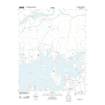 2011 Map of Brownsville, 2011 Print