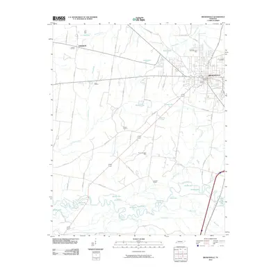 2010 Map of Brownsville, 2010 Print
