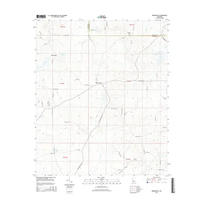 2015 Map of Brownsville, 2015 Print