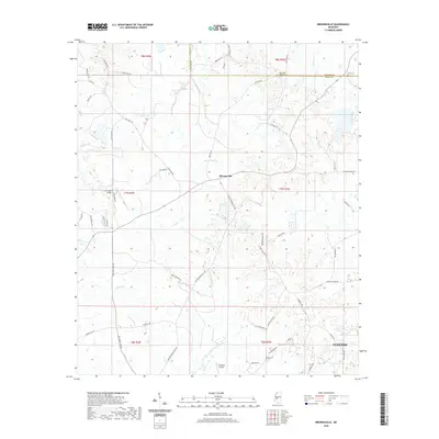 2020 Map of Brownsville, 2020 Print