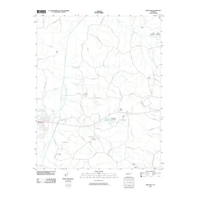 2010 Map of Bruceton, 2010 Print