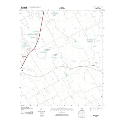 2010 Map of Bruceville, 2010 Print