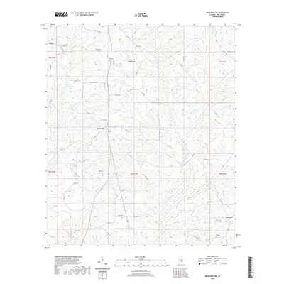2020 Map of Brundidge NW, 2020 Print