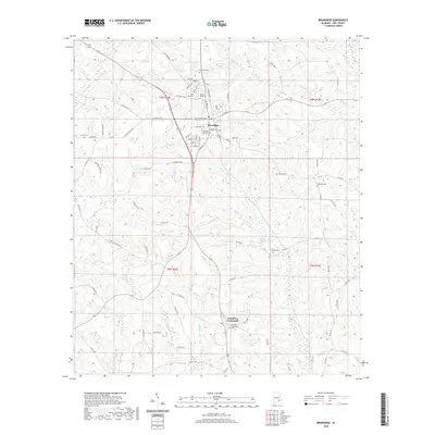 2020 Map of Brundidge, 2020 Print