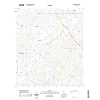 2020 Map of Brundidge SE, 2020 Print
