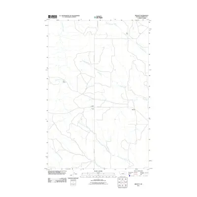 2011 Map of Brusett, 2011 Print
