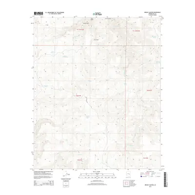 2014 Map of Brushy Canyon, 2014 Print