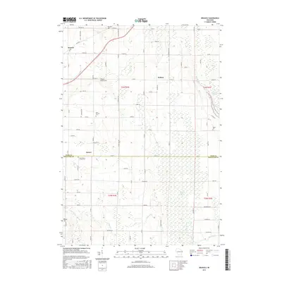 2015 Map of Brussels, 2015 Print