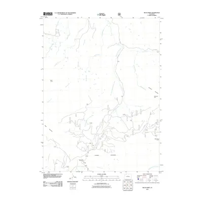 2011 Map of Buck Point, 2011 Print