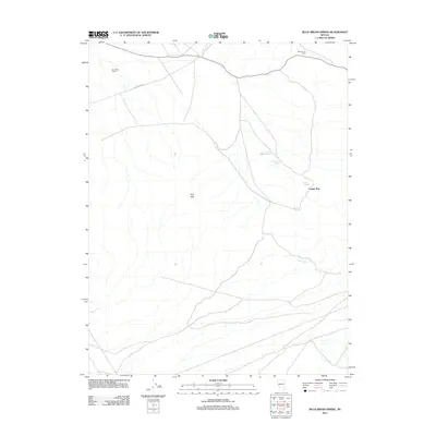 2011 Map of Buckbrush Spring, 2011 Print