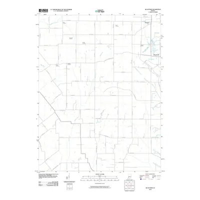 2010 Map of Bucktown, 2010 Print