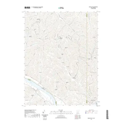 2019 Map of Buena Vista, 2019 Print