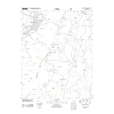 2011 Map of Buena Vista, 2011 Print