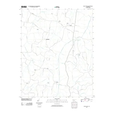 2010 Map of Buena Vista, 2010 Print