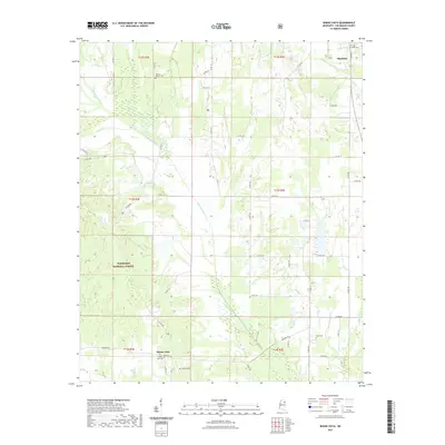 2021 Map of Buena Vista, 2021 Print