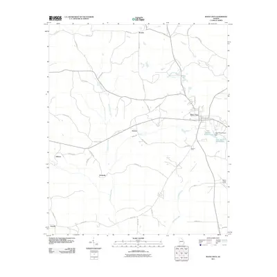 2011 Map of Buena Vista, 2011 Print
