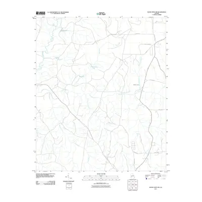 2011 Map of Buena Vista NW, 2011 Print