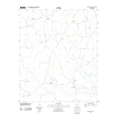 2011 Map of Buena Vista, 2011 Print