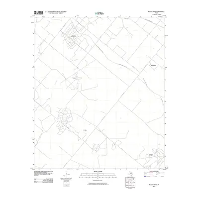 2010 Map of Buena Vista, 2010 Print