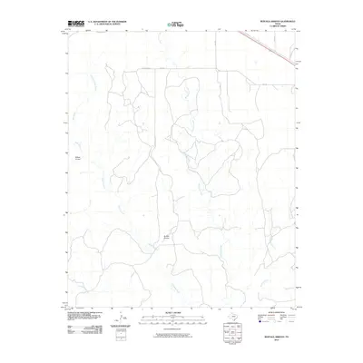 2010 Map of Buffalo Arroyo, 2010 Print