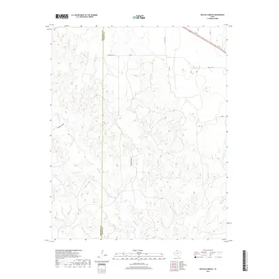 2019 Map of Buffalo Arroyo, 2019 Print