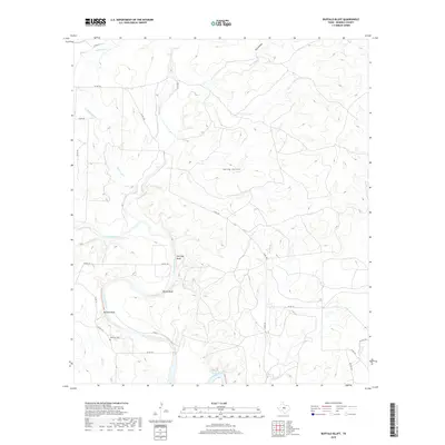 2019 Map of Buffalo Bluff, 2019 Print